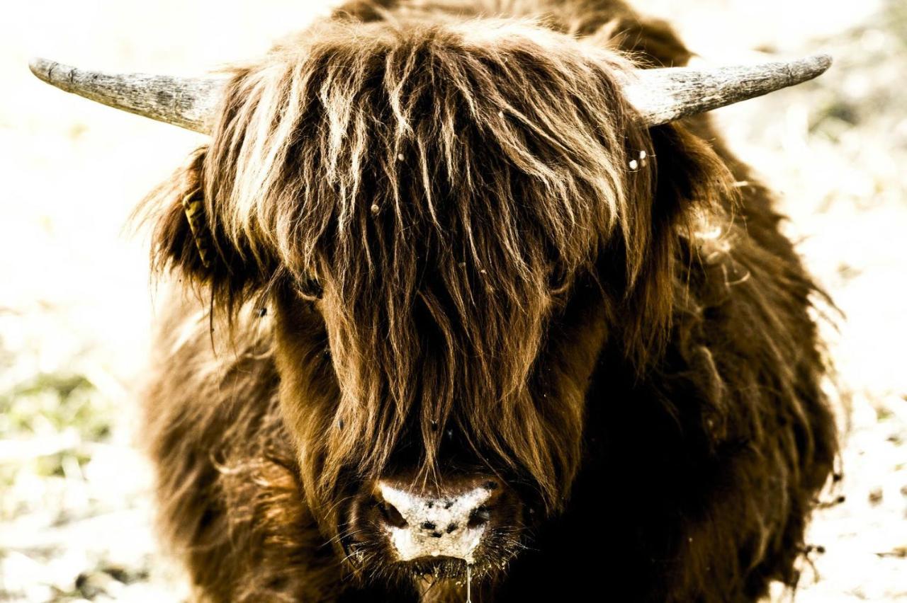 Montanari Agrivillage Narni Eksteriør billede